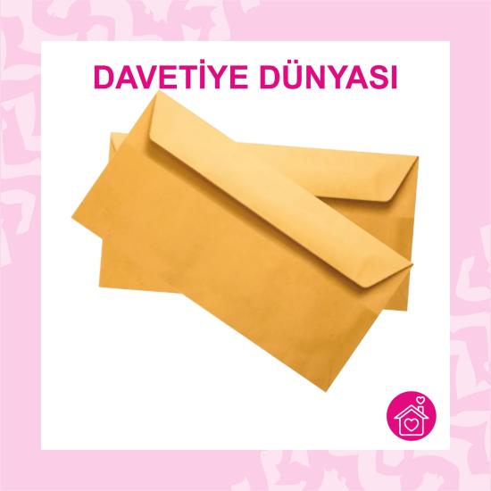 Diplomat Zarf Silikonlu Düz 10,5X24 Formula 100gr